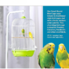 Classic Round Bird Cage, Green - Image 3